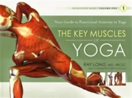 I muscoli chiave dello yoga - The Key Muscles of Yoga