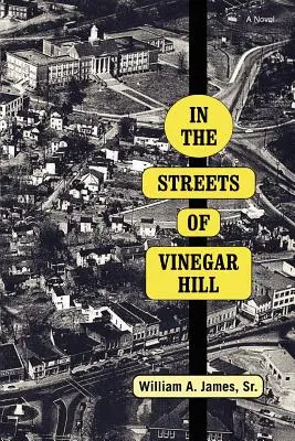 Nelle strade di Vinegar Hill - In The Streets Of Vinegar Hill