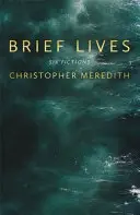 Vite brevi - Brief Lives
