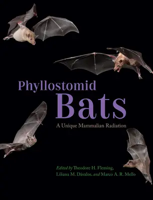 Pipistrelli fillostomidi: una radiazione di mammiferi unica nel suo genere - Phyllostomid Bats: A Unique Mammalian Radiation