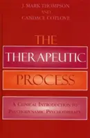 Il processo terapeutico: Un'introduzione clinica alla psicoterapia psicodinamica - The Therapeutic Process: A Clinical Introduction to Psychodynamic Psychotherapy