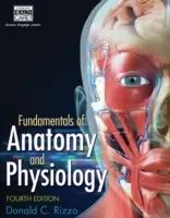 Fondamenti di anatomia e fisiologia - Fundamentals of Anatomy and Physiology