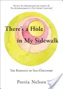 C'è un buco nel mio marciapiede: Il romanzo della scoperta di sé - There's a Hole in My Sidewalk: The Romance of Self-Discovery