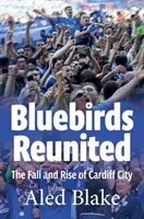 Bluebirds Reunited: La caduta e l'ascesa del Cardiff City - Bluebirds Reunited: The Fall and Rise of Cardiff City