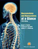 Neuroanatomia e neuroscienze in sintesi - Neuroanatomy and Neuroscience at a Glance