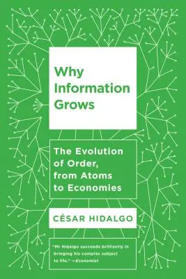Perché cresce l'informazione: L'evoluzione dell'ordine, dagli atomi alle economie - Why Information Grows: The Evolution of Order, from Atoms to Economies