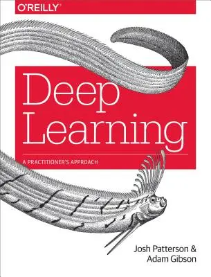 Apprendimento profondo: Un approccio pratico - Deep Learning: A Practitioner's Approach