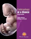 Embriologia in sintesi - Embryology at a Glance