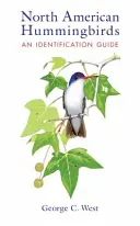 Colibrì del Nord America: Guida all'identificazione - North American Hummingbirds: An Identification Guide