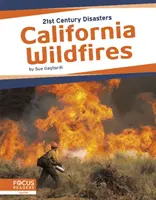 Incendi in California - California Wildfires