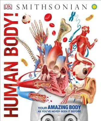 Corpo umano! - Human Body!