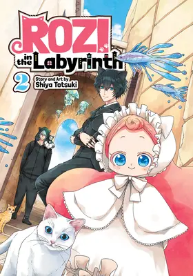 Rozi nel labirinto Vol. 2 - Rozi in the Labyrinth Vol. 2