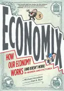 Economix: Come funziona (e non funziona) la nostra economia, in parole e immagini - Economix: How Our Economy Works (and Doesn't Work), in Words and Pictures