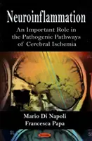 Neuroinfiammazione: un ruolo importante nei percorsi patogenetici dell'ischemia cerebrale - Neuroinflammation - An Important Role in the Pathogenic Pathways of Cerebral Ischemia