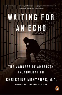 Aspettando un'eco: La follia dell'incarcerazione americana - Waiting for an Echo: The Madness of American Incarceration