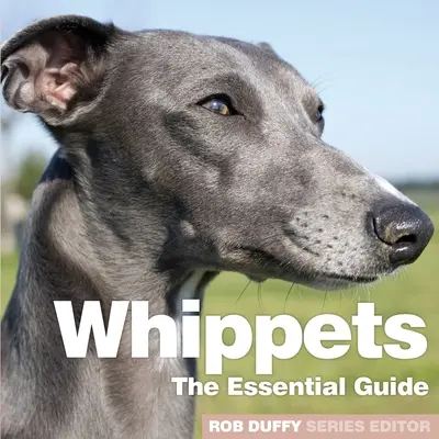 Whippet: La guida essenziale - Whippets: The Essential Guide