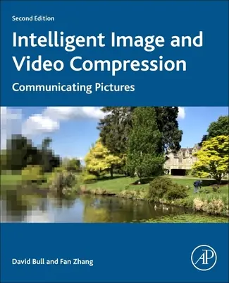 Compressione intelligente di immagini e video: Comunicare le immagini - Intelligent Image and Video Compression: Communicating Pictures