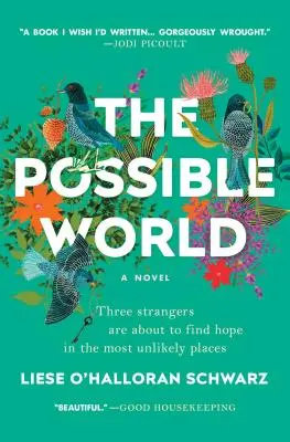Il mondo possibile - The Possible World