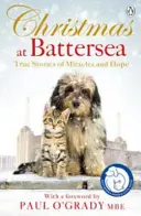 Natale a Battersea: Storie vere di miracoli e speranza - Christmas at Battersea: True Stories of Miracles and Hope