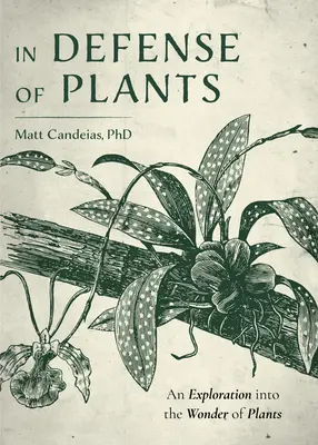 In difesa delle piante: Un'esplorazione delle meraviglie delle piante (Guida alle piante, Orticoltura) - In Defense of Plants: An Exploration Into the Wonder of Plants (Plant Guide, Horticulture)