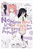 Non importa come la vedo io, è colpa vostra se non sono popolare!, Vol. 11 - No Matter How I Look at It, It's You Guys' Fault I'm Not Popular!, Vol. 11