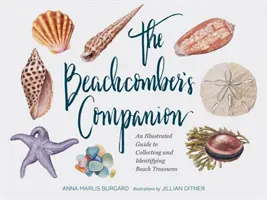 Il Compagno del Beachcomber: Una guida illustrata alla raccolta e all'identificazione dei tesori della spiaggia (libro acquerellato sulla raccolta di conchiglie e conchiglie, Bea - The Beachcomber's Companion: An Illustrated Guide to Collecting and Identifying Beach Treasures (Watercolor Seashell and Shell Collecting Book, Bea