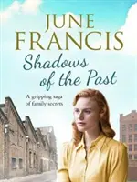 Ombre del passato - Un'avvincente saga di segreti familiari - Shadows of the Past - A gripping saga of family secrets
