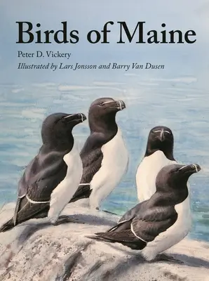 Uccelli del Maine - Birds of Maine