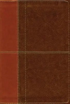 Niv, Bibbia per lo studio dell'applicazione della vita, terza edizione, pelle scamosciata, marrone, indicizzata, edizione a lettere rosse - Niv, Life Application Study Bible, Third Edition, Leathersoft, Brown, Indexed, Red Letter Edition