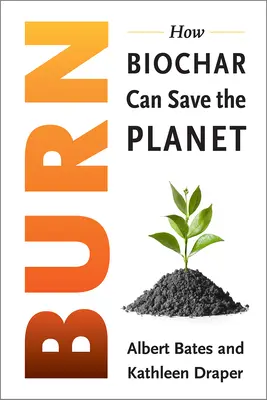 Burn: Accendere una nuova economia del carbonio per porre fine alla crisi climatica - Burn: Igniting a New Carbon Drawdown Economy to End the Climate Crisis