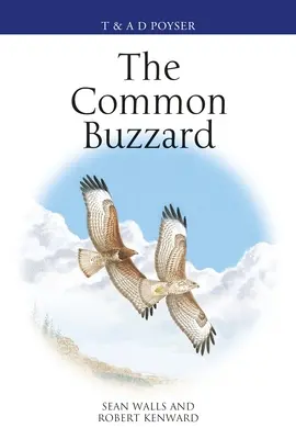 La poiana comune - The Common Buzzard