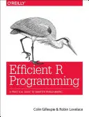 Programmazione efficiente in R: Guida pratica a una programmazione più intelligente - Efficient R Programming: A Practical Guide to Smarter Programming