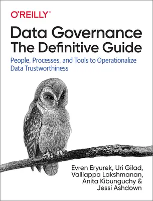 Governance dei dati: La guida definitiva: Persone, processi e strumenti per rendere operativi i dati affidabili - Data Governance: The Definitive Guide: People, Processes, and Tools to Operationalize Data Trustworthiness
