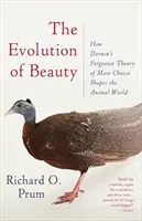 L'evoluzione della bellezza: Come la teoria dimenticata di Darwin sulla scelta dell'accoppiamento modella il mondo animale - e noi stessi - The Evolution of Beauty: How Darwin's Forgotten Theory of Mate Choice Shapes the Animal World - And Us