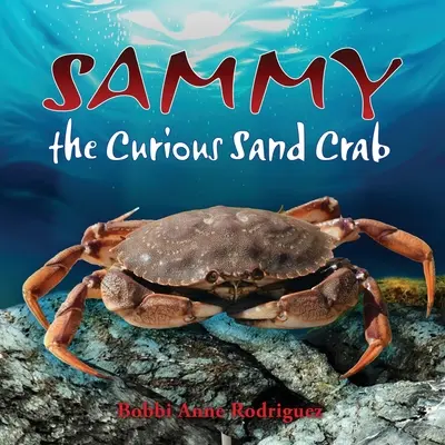 Sammy il granchio curioso - Sammy the Curious Sand Crab