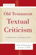 Critica testuale dell'Antico Testamento: Introduzione pratica - Old Testament Textual Criticism: A Practical Introduction