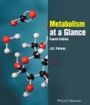 Metabolismo in sintesi - Metabolism at a Glance