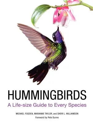 Colibrì: Guida a grandezza naturale di ogni specie - Hummingbirds: A Life-Size Guide to Every Species