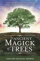 L'antica magia degli alberi: Identificare e usare gli alberi nella vostra pratica spirituale e magica - The Ancient Magick of Trees: Identify & Use Trees in Your Spiritual & Magickal Practice