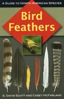 Piume di uccelli: Guida alle specie del Nord America - Bird Feathers: A Guide to North American Species