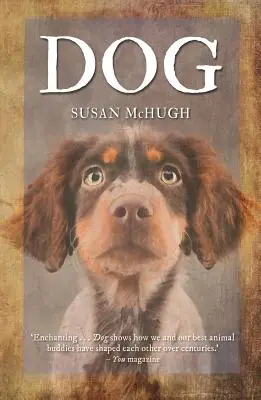 Il cane - Dog