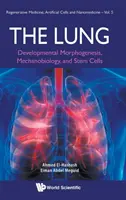 Il polmone: Morfogenesi dello sviluppo, meccanobiologia e cellule staminali - Lung, The: Developmental Morphogenesis, Mechanobiology, and Stem Cells