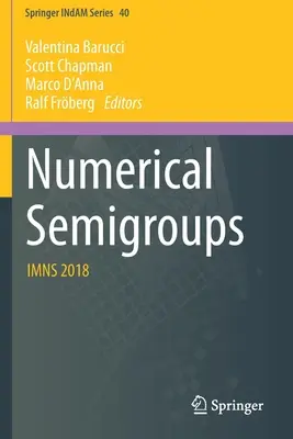 Semigruppi numerici: Imns 2018 - Numerical Semigroups: Imns 2018