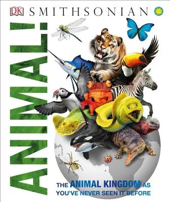 Animale! Il Regno degli animali come non l'avete mai visto prima - Animal!: The Animal Kingdom as You've Never Seen It Before
