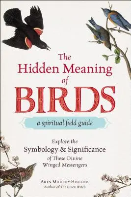 Il significato nascosto degli uccelli: una guida spirituale: Esplorare la simbologia e il significato di questi divini messaggeri alati - The Hidden Meaning of Birds--A Spiritual Field Guide: Explore the Symbology and Significance of These Divine Winged Messengers