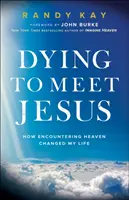 Morire per incontrare Gesù: Come l'incontro con il cielo ha cambiato la mia vita - Dying to Meet Jesus: How Encountering Heaven Changed My Life
