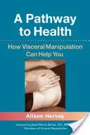Un percorso verso la salute: Come la manipolazione viscerale può aiutarvi - A Pathway to Health: How Visceral Manipulation Can Help You