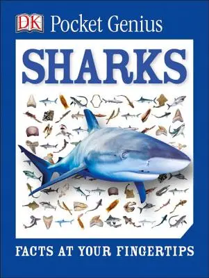 Pocket Genius: Squali: Fatti a portata di mano - Pocket Genius: Sharks: Facts at Your Fingertips