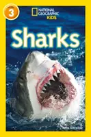 Squali - Livello 3 - Sharks - Level 3
