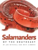 Salamandre del sud-est - Salamanders of the Southeast